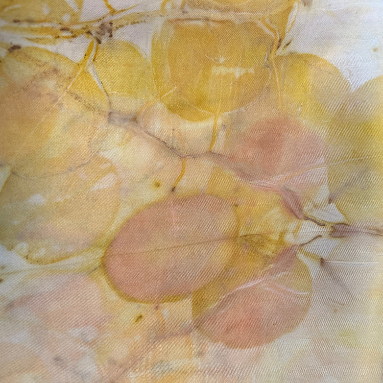 Eucalyptus