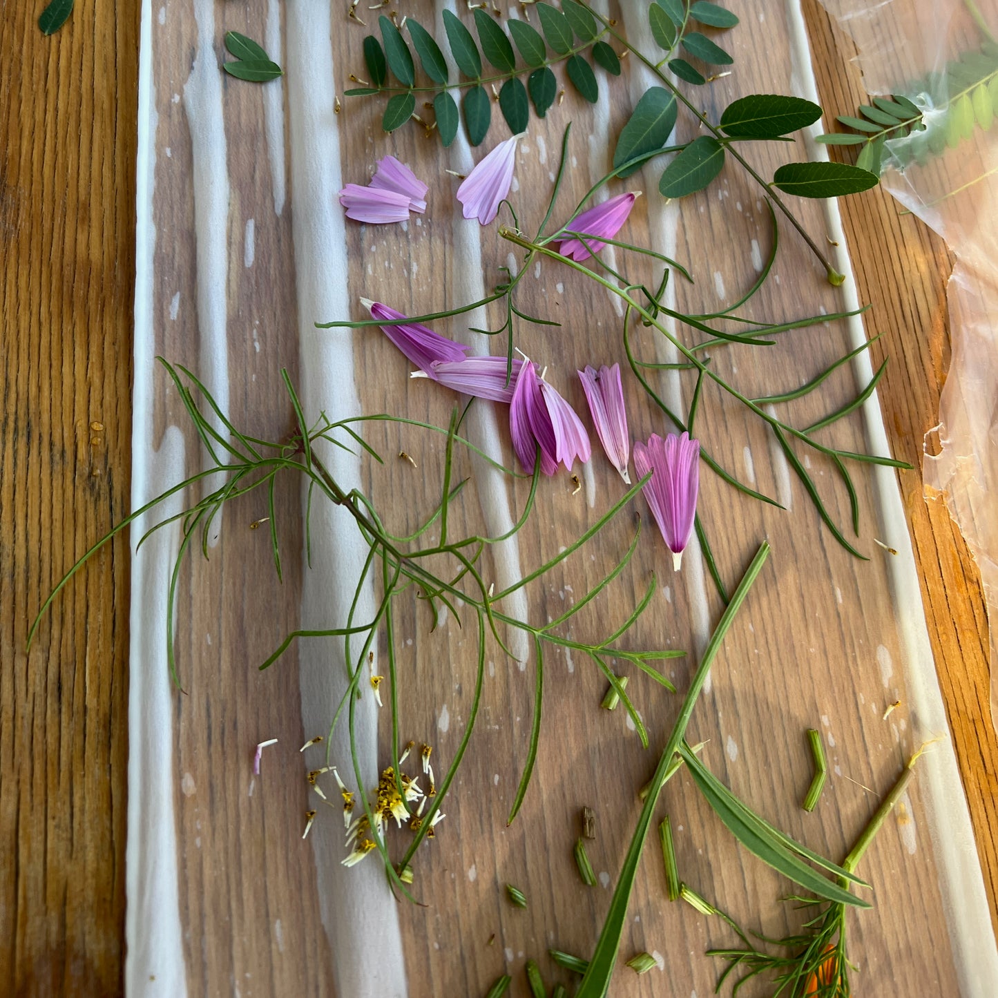 SAT08-02 - Satin Scarf - 8" x 52" - A Bouquet of August Garden Leaves: Cosmos, Locust, Tithonia, Marigold, Snakeweed