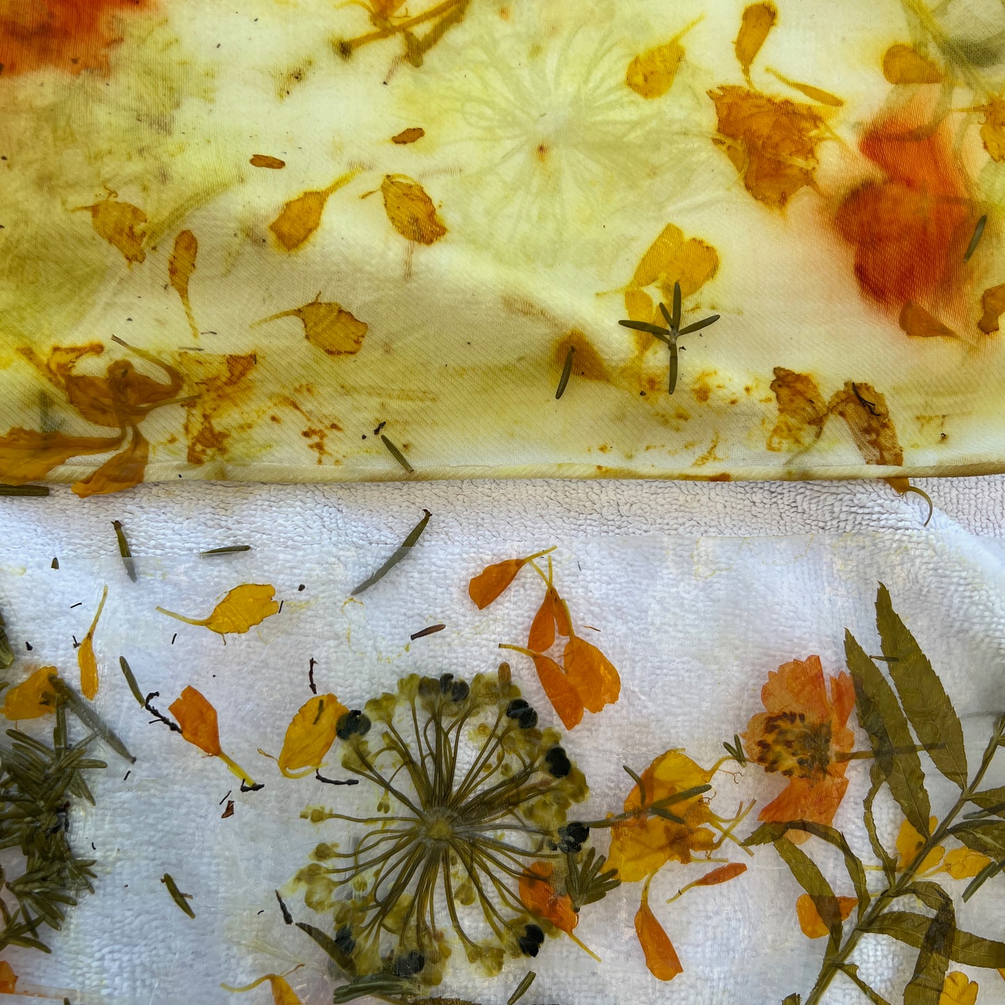 SW08-02 - Silk Wool Scarf - 8" x 52" - Marigold, Rosemary, Garlic Chives, Cosmos, Hibiscus Honey Locust