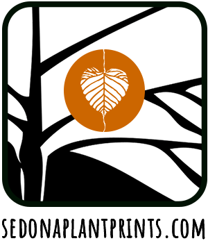 Sedona Plant Prints