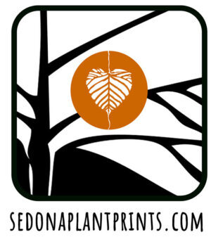 Sedona Plant Prints